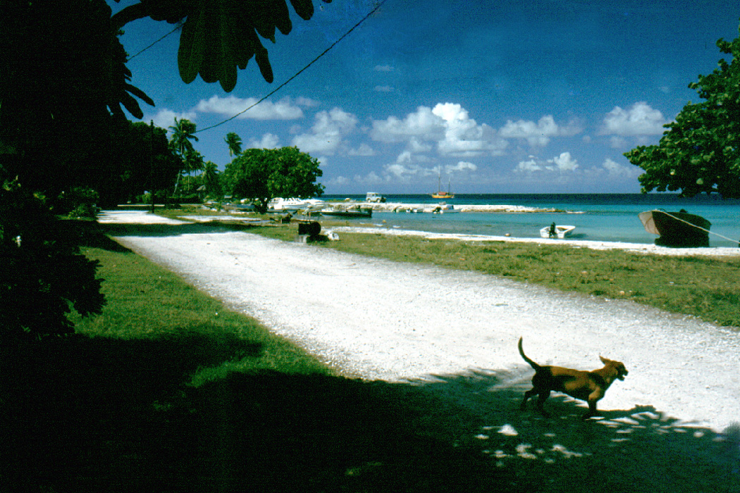05 Rangiroa 0007